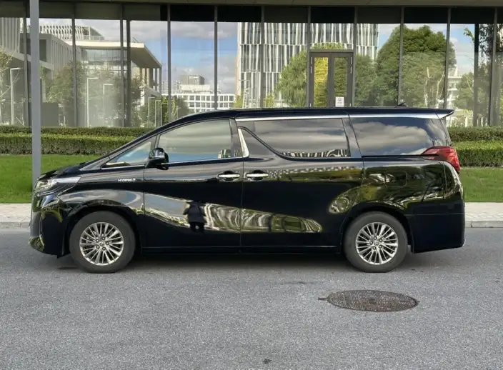 Elfa 2021 Model Hybrid 2.5L Premium Edition – фото 4