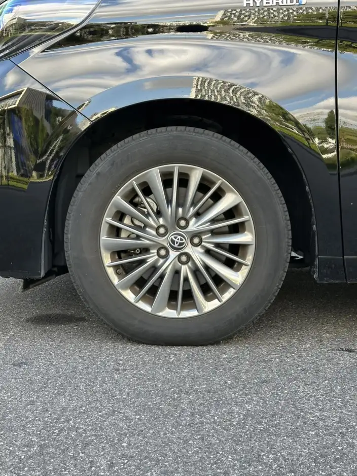 Elfa 2021 Model Hybrid 2.5L Premium Edition – фото 10