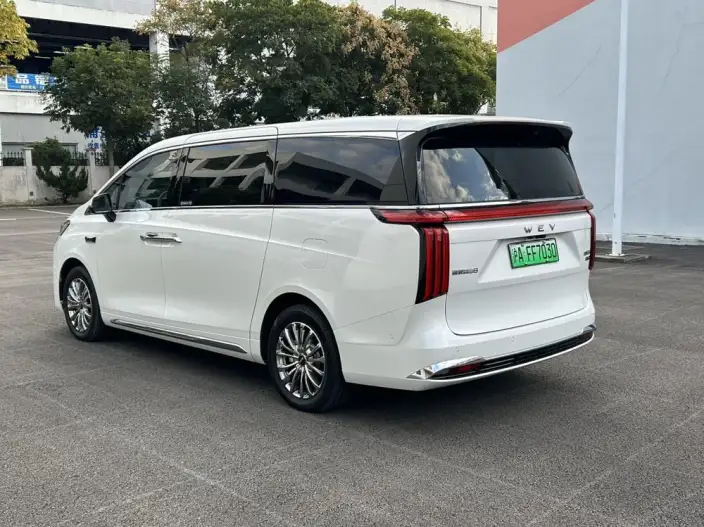 Wey Gaoshan P HEV 2025 Model 4WD Wey Gaoshan 8