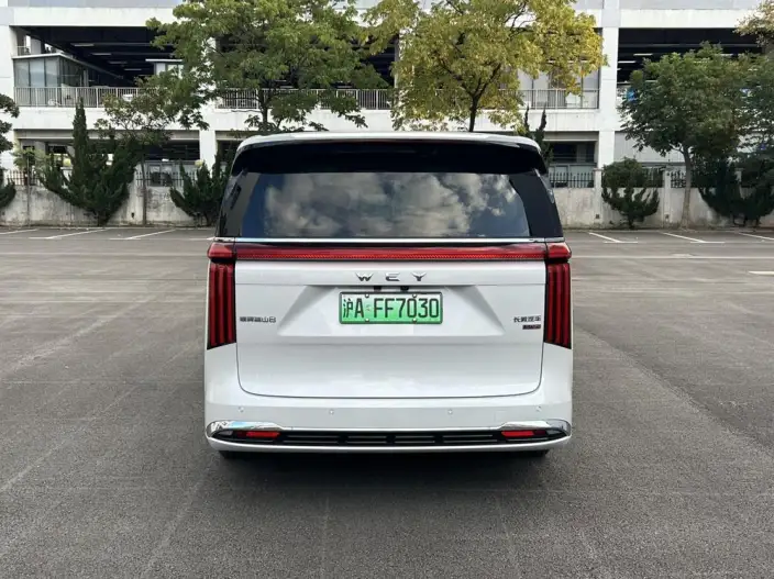 Wey Gaoshan P HEV 2025 Model 4WD Wey Gaoshan 8 – фото 5