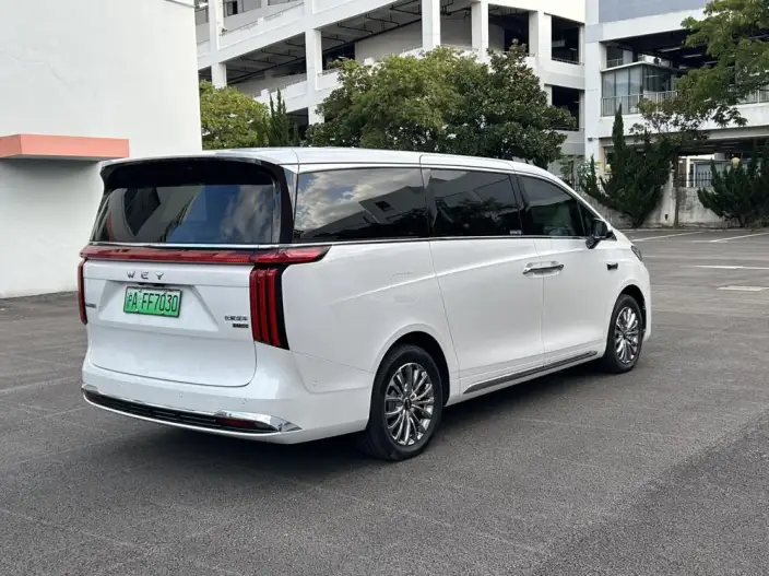 Wey Gaoshan P HEV 2025 Model 4WD Wey Gaoshan 8 – фото 6