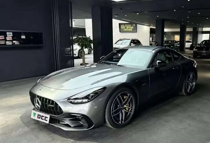 AMG GT 2025 Model AMG GT 50 – фото 1