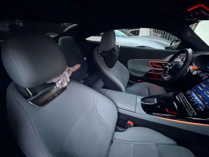 AMG GT 2025 Model AMG GT 50 – фото 10