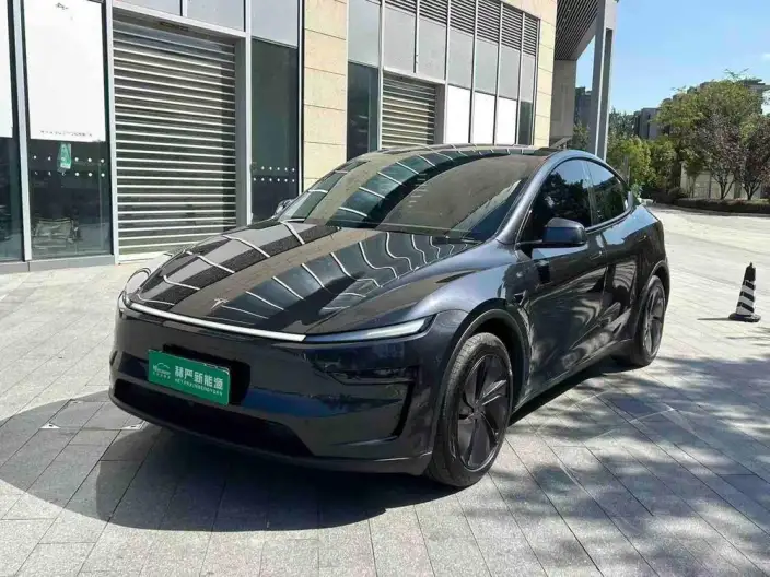 Model Y 2025 Model Rear-wheel drive version – фото 1