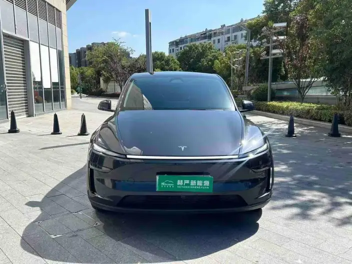 Model Y 2025 Model Rear-wheel drive version – фото 2