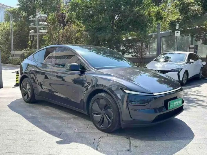 Model Y 2025 Model Rear-wheel drive version – фото 3