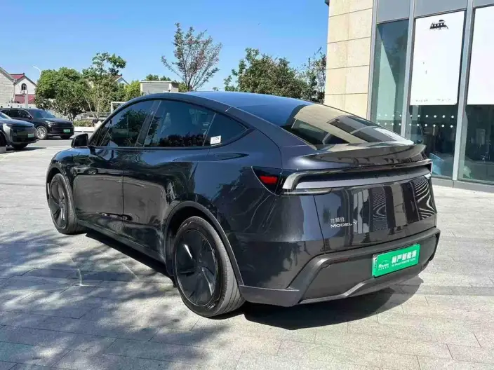 Model Y 2025 Model Rear-wheel drive version – фото 4