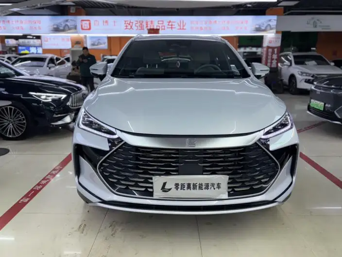 BYD Tang DM 2024 Model Honor Edition DM-i 112KM Zunrong Model – фото 2