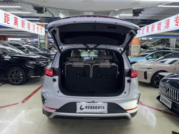 BYD Tang DM 2024 Model Honor Edition DM-i 112KM Zunrong Model – фото 7
