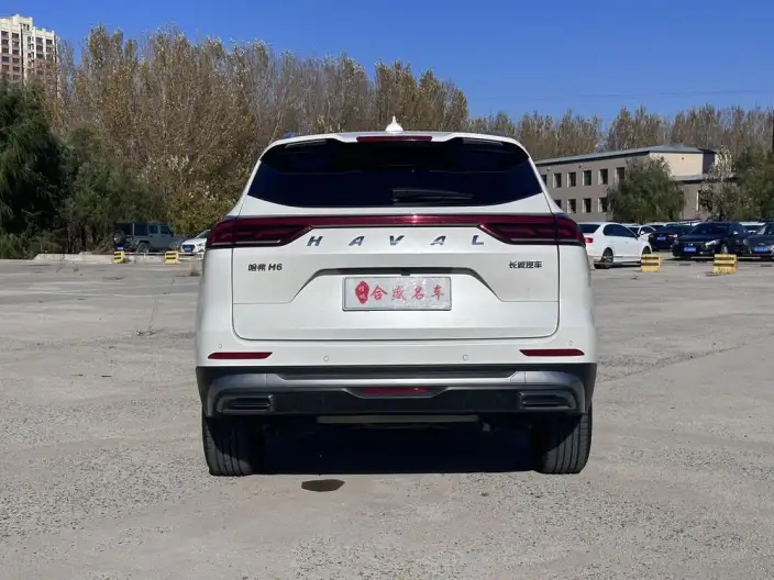 Haval H6 2021 Model Guo Trendy Edition 1.5T Automatic Champion Edition – фото 6