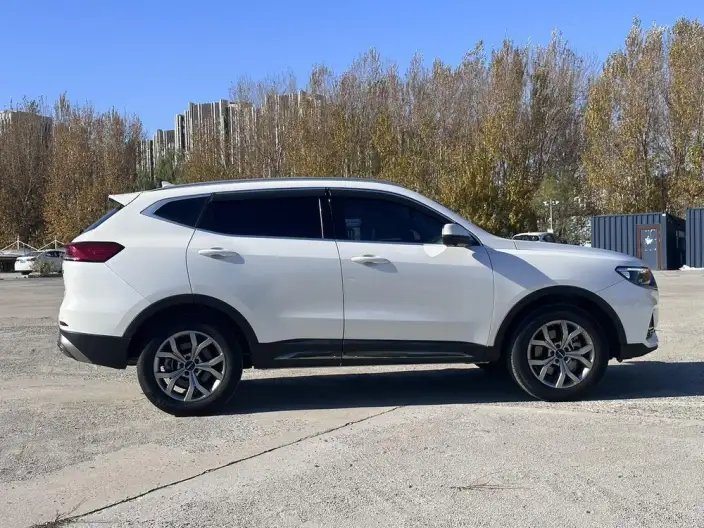 Haval H6 2021 Model Guo Trendy Edition 1.5T Automatic Champion Edition – фото 8