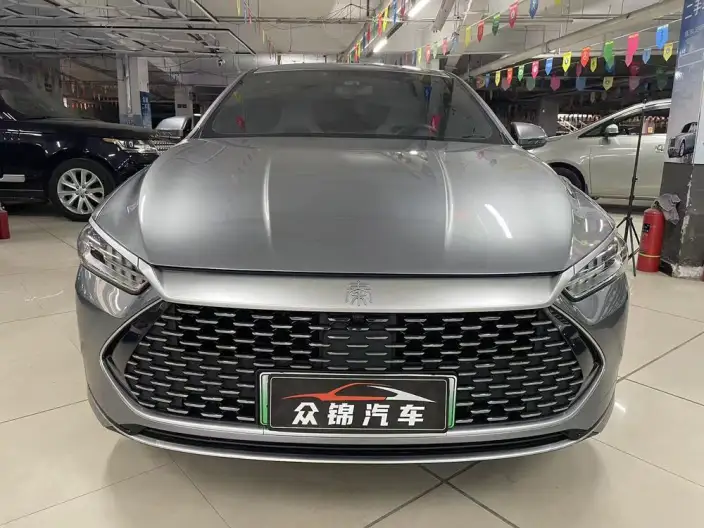 BYD Qin PLUS DM 2024 Model Honor Edition DM-i 55KM Leading Model – фото 2