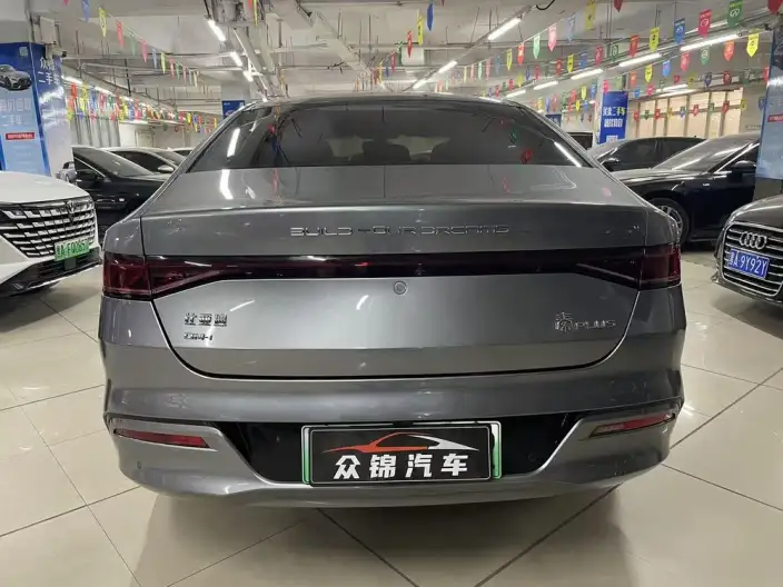 BYD Qin PLUS DM 2024 Model Honor Edition DM-i 55KM Leading Model – фото 5