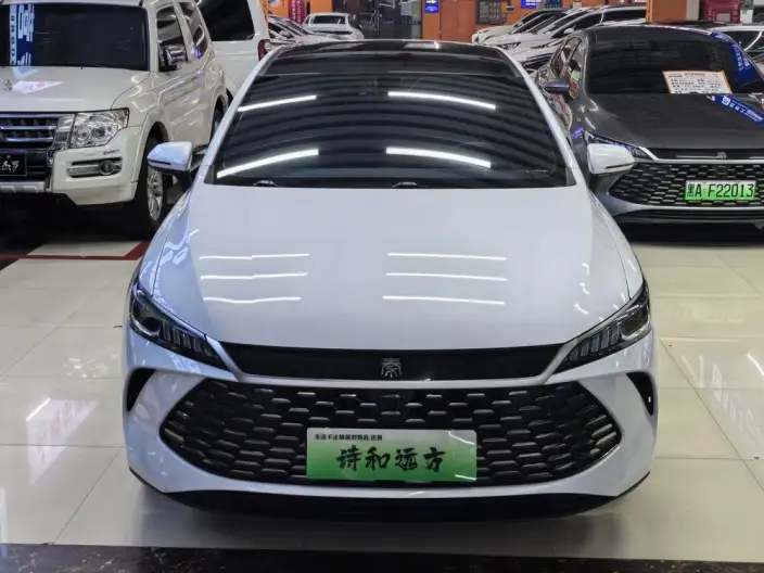BYD Qin PLUS DM 2025 Model Smart Driving Edition DM-i 55KM Leading Model – фото 2
