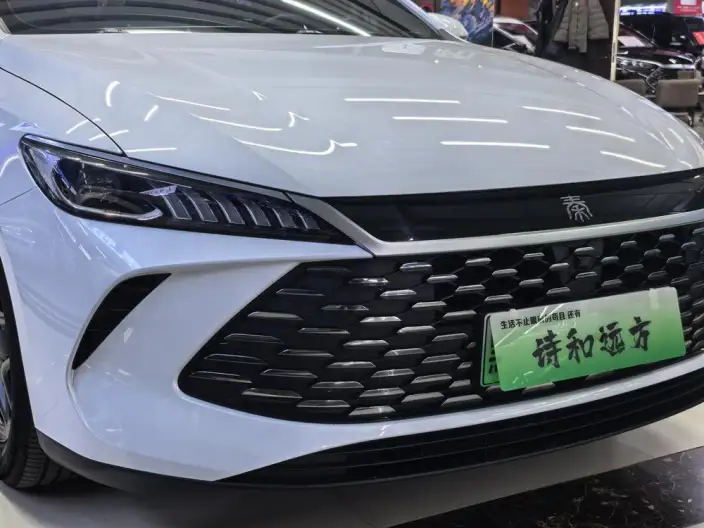 BYD Qin PLUS DM 2025 Model Smart Driving Edition DM-i 55KM Leading Model – фото 9