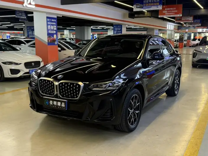 BMW X4 2022 Model xDrive 25i M Sports Set – фото 1