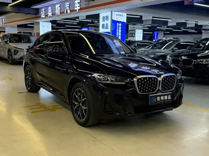BMW X4 2022 Model xDrive 25i M Sports Set – фото 3
