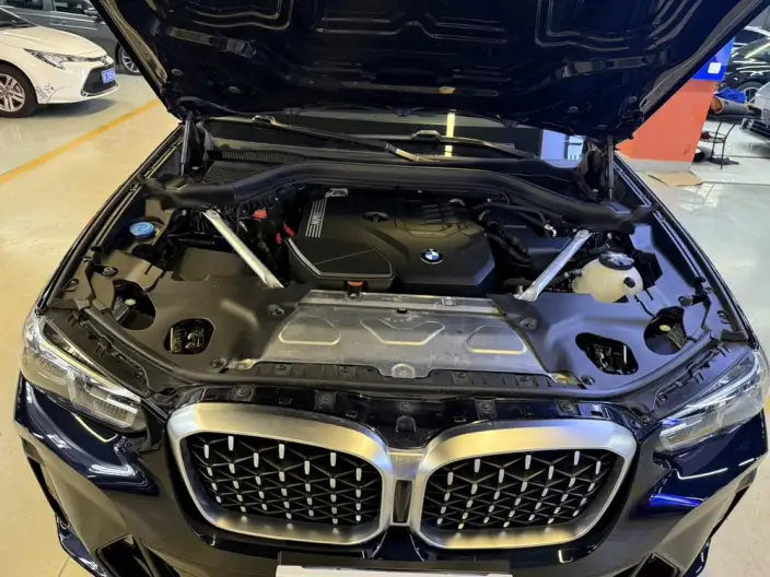 BMW X4 2022 Model xDrive 25i M Sports Set – фото 8