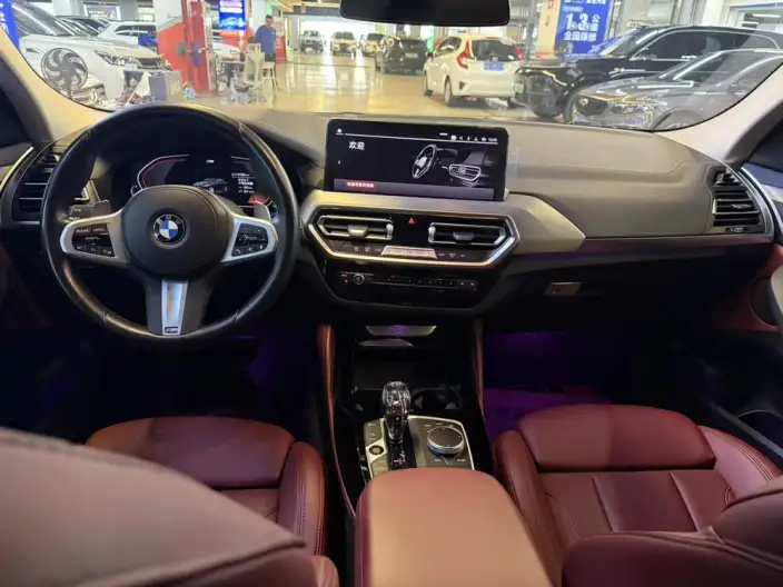 BMW X4 2022 Model xDrive 25i M Sports Set – фото 9