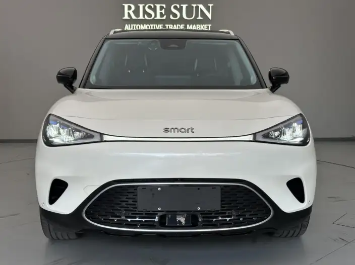 smart #1 2022 Model Pulse Heart Edition