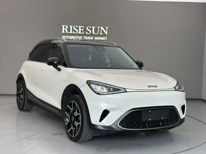 smart #1 2022 Model Pulse Heart Edition