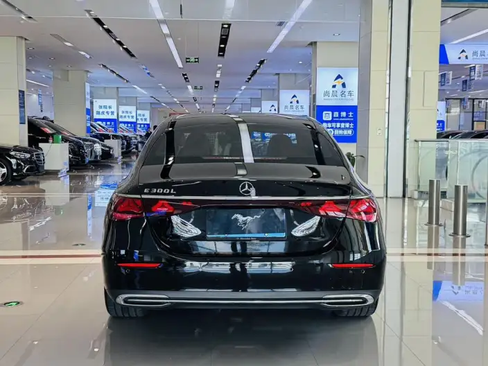 Mercedes-Benz E-Class 2024 Model Facelift E 300 L Luxury Model sedan – фото 5