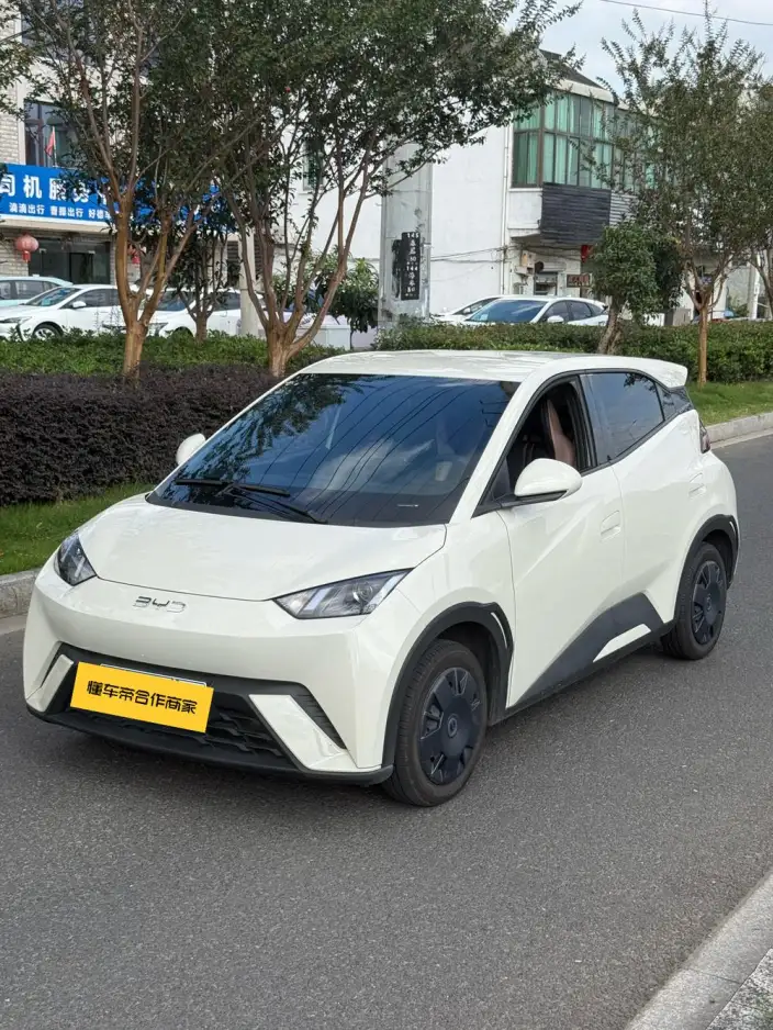 BYD Seagull 2024 Model Honor Edition 305KM Vitality Edition – фото 1