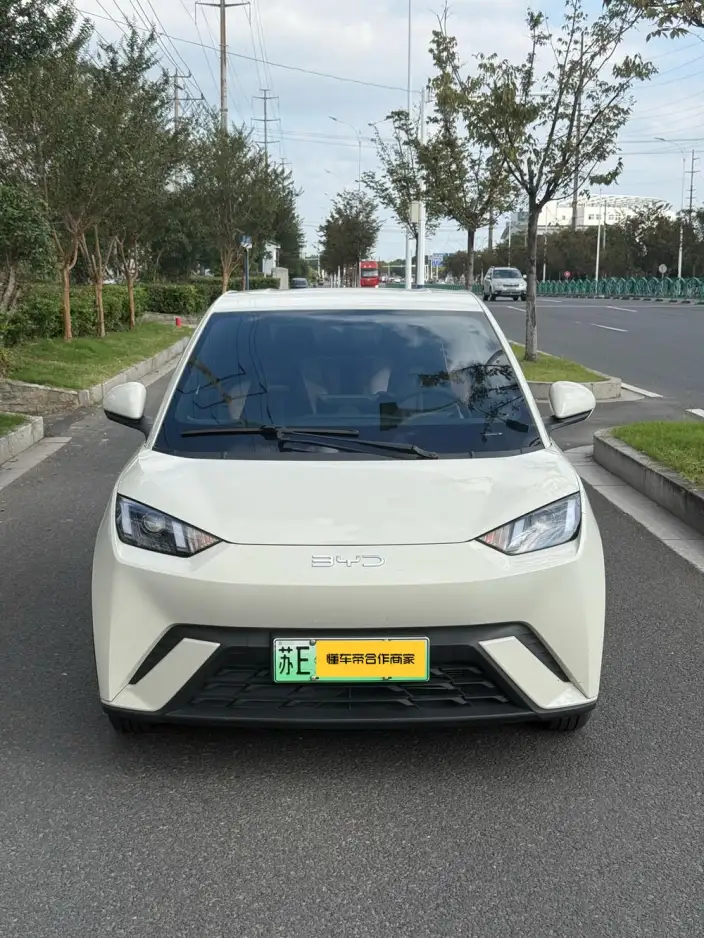 BYD Seagull 2024 Model Honor Edition 305KM Vitality Edition – фото 2