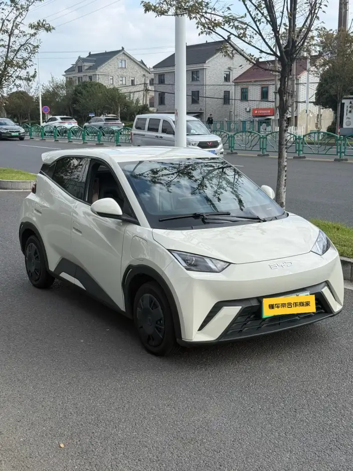BYD Seagull 2024 Model Honor Edition 305KM Vitality Edition – фото 3
