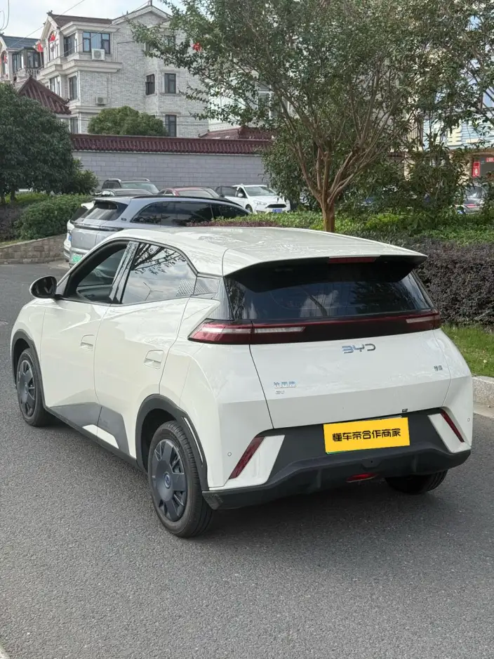BYD Seagull 2024 Model Honor Edition 305KM Vitality Edition – фото 4