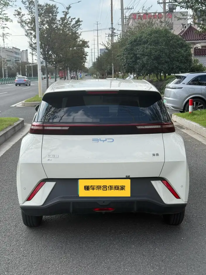 BYD Seagull 2024 Model Honor Edition 305KM Vitality Edition – фото 5