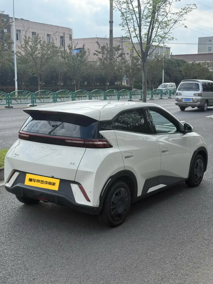 BYD Seagull 2024 Model Honor Edition 305KM Vitality Edition – фото 6
