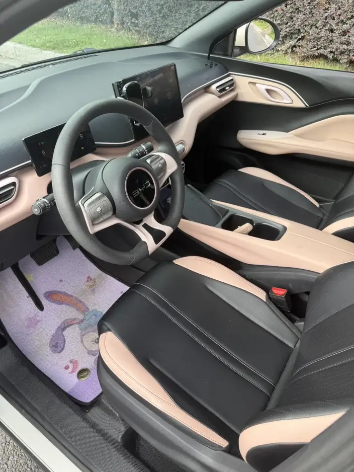 BYD Seagull 2024 Model Honor Edition 305KM Vitality Edition – фото 7