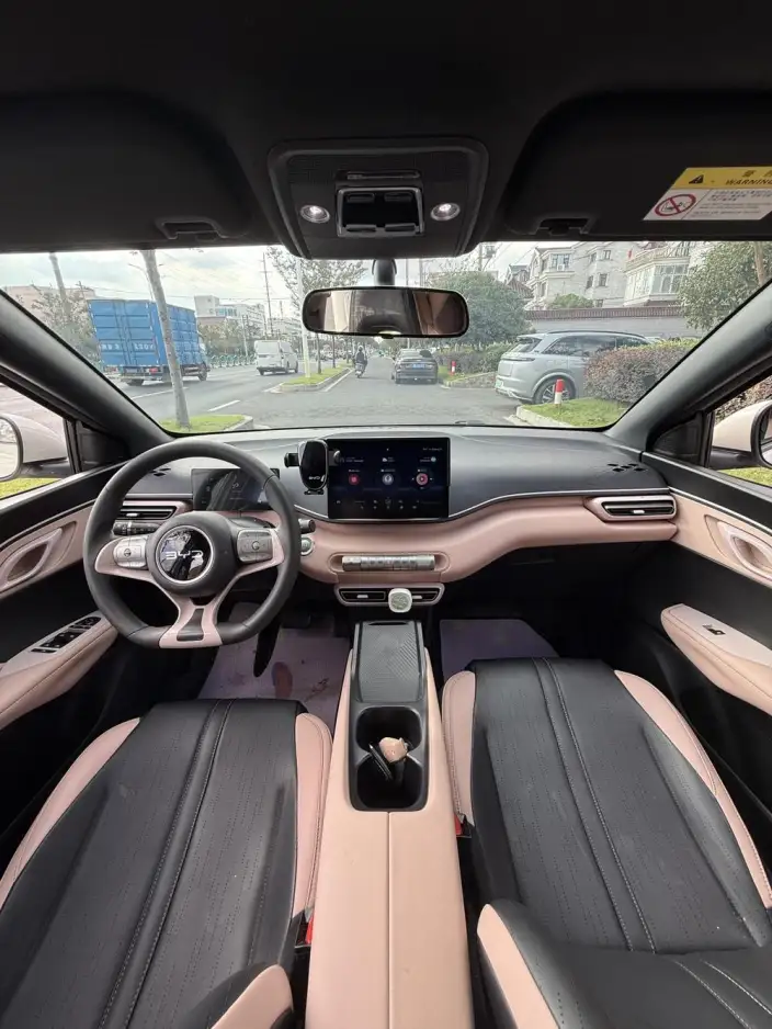 BYD Seagull 2024 Model Honor Edition 305KM Vitality Edition – фото 8