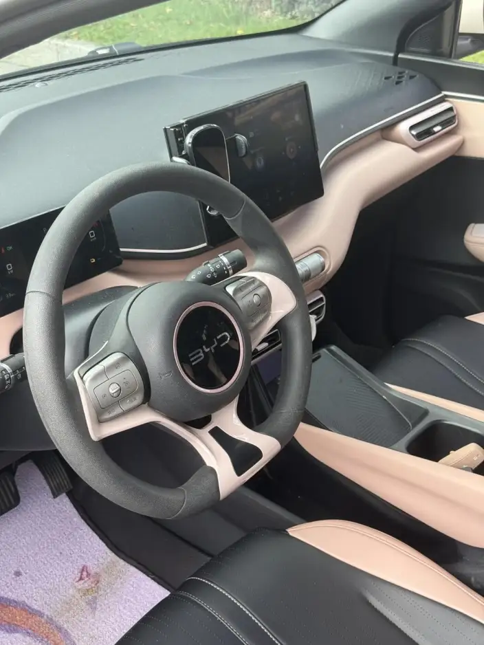 BYD Seagull 2024 Model Honor Edition 305KM Vitality Edition – фото 9