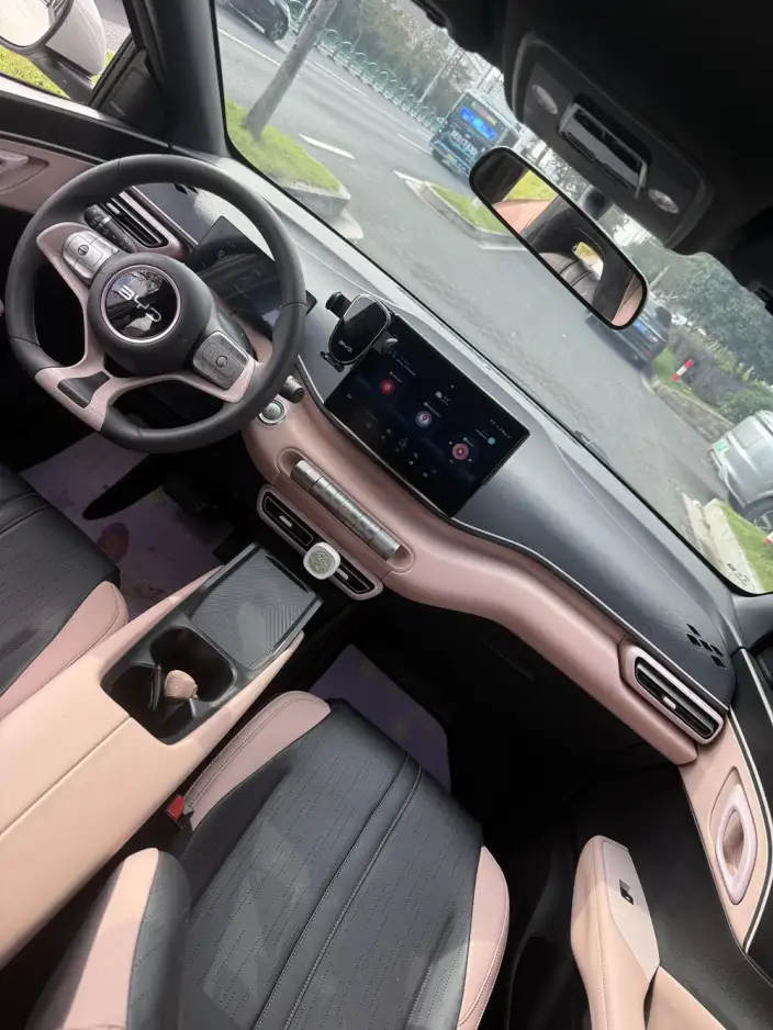 BYD Seagull 2024 Model Honor Edition 305KM Vitality Edition – фото 10