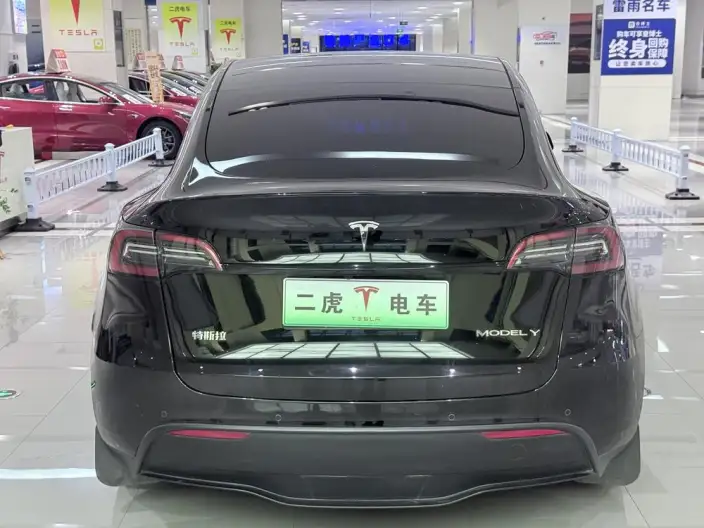 Model Y 2023 Model Rear-wheel drive version – фото 5