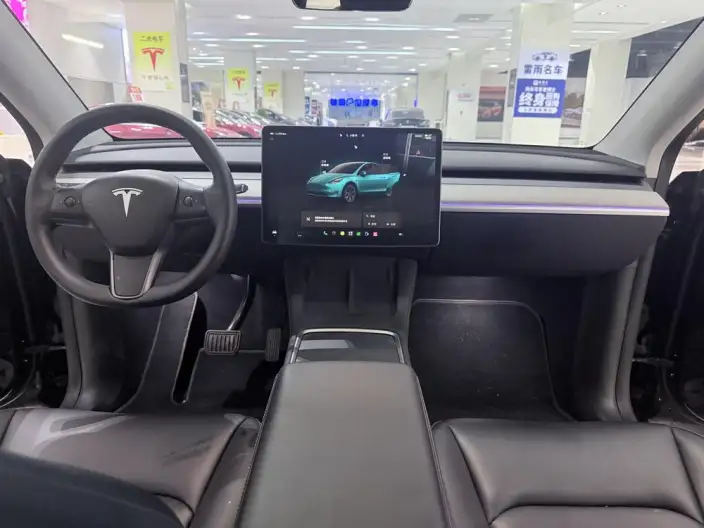 Model Y 2023 Model Rear-wheel drive version – фото 9