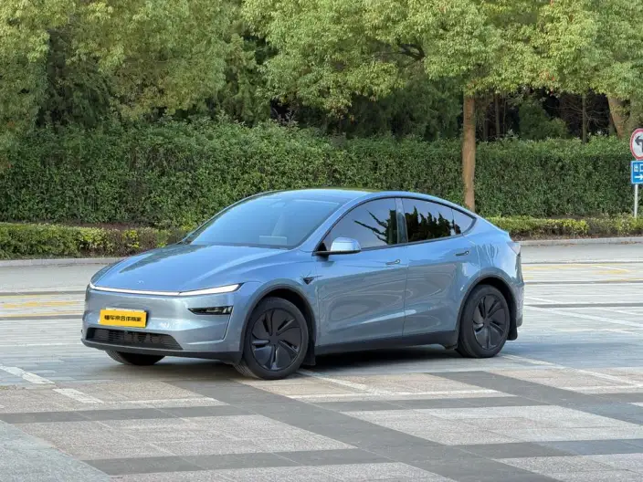 Model Y 2025 Model Rear-wheel drive version – фото 1