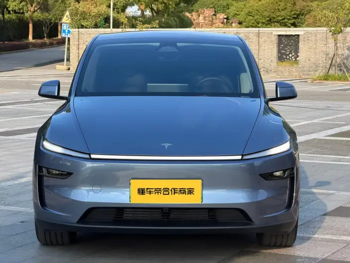 Model Y 2025 Model Rear-wheel drive version – фото 2