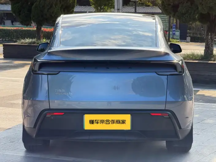 Model Y 2025 Model Rear-wheel drive version – фото 6