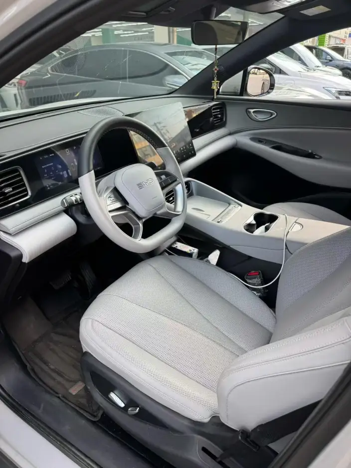 Sea Lion 06DM 2025 Model DM-i 205KM Pilot Pro Edition – фото 4