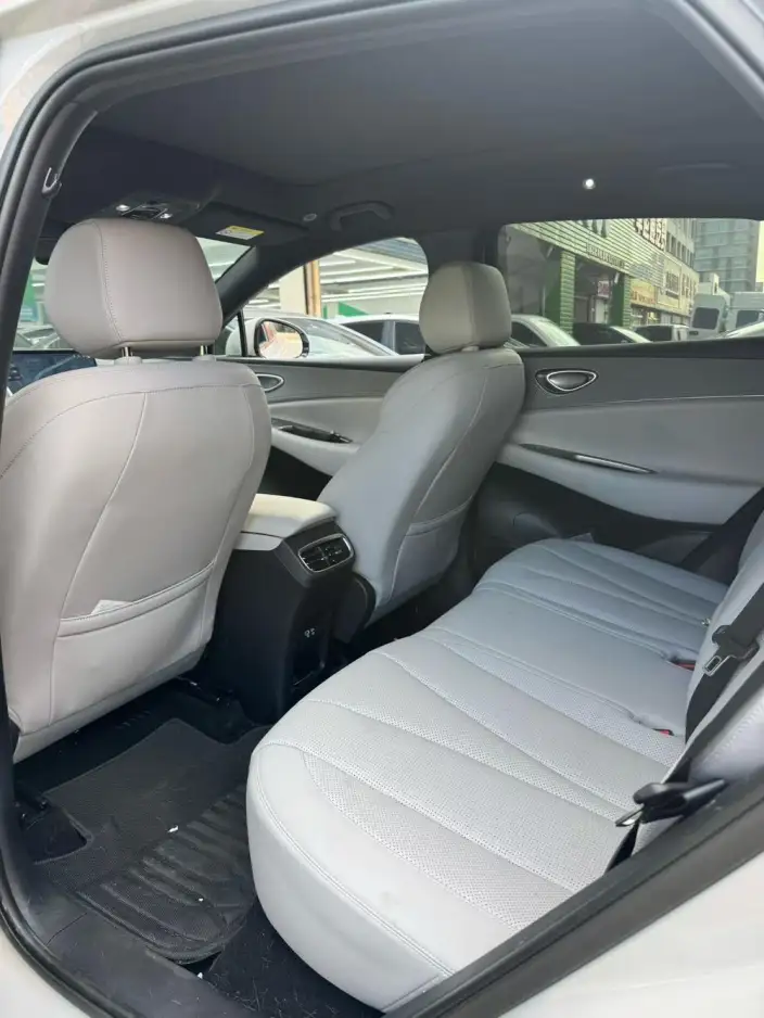 Sea Lion 06DM 2025 Model DM-i 205KM Pilot Pro Edition – фото 9