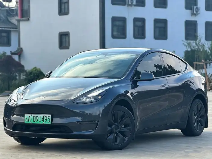 Model Y 2024 Model Long Battery Life Pro All-wheel drive version – фото 1