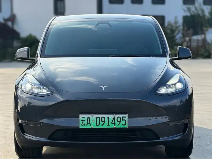 Model Y 2024 Model Long Battery Life Pro All-wheel drive version – фото 2