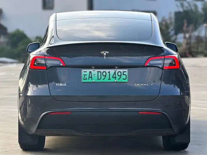 Model Y 2024 Model Long Battery Life Pro All-wheel drive version – фото 4