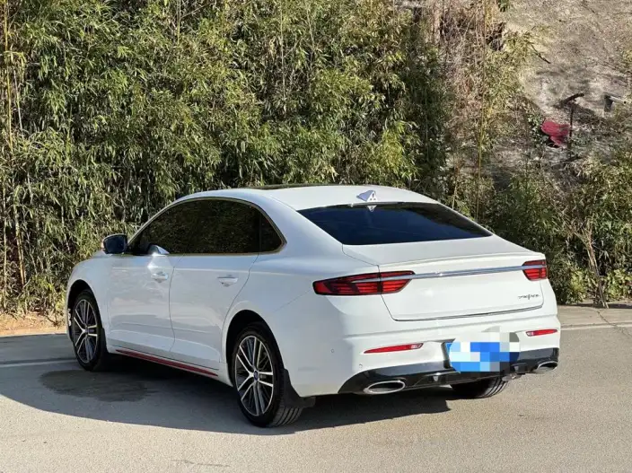 Geely StarRui 2021 Model 2.0T Noble Model