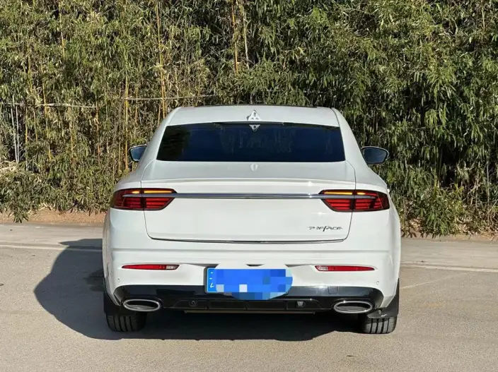 Geely StarRui 2021 Model 2.0T Noble Model