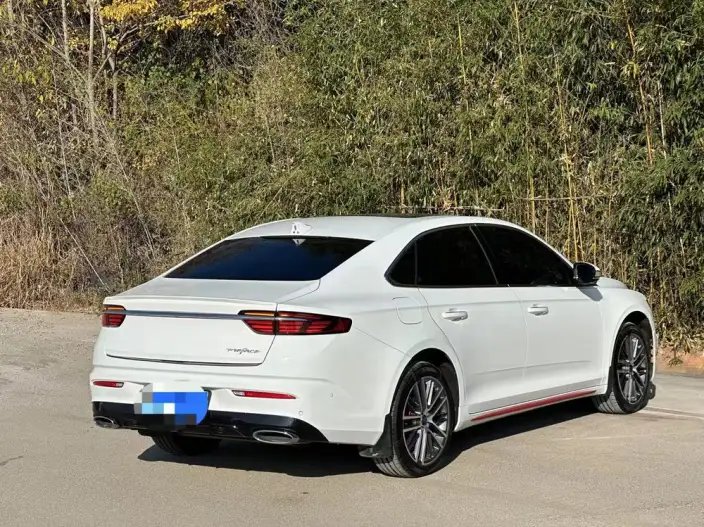 Geely StarRui 2021 Model 2.0T Noble Model – фото 5