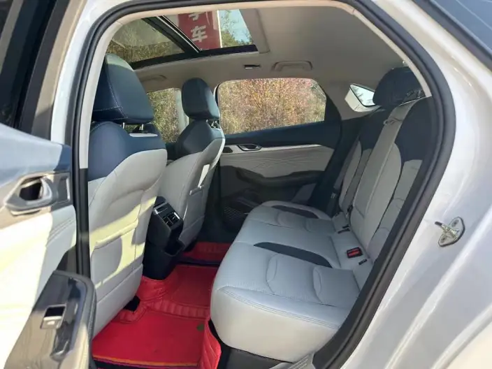 Geely StarRui 2021 Model 2.0T Noble Model – фото 9